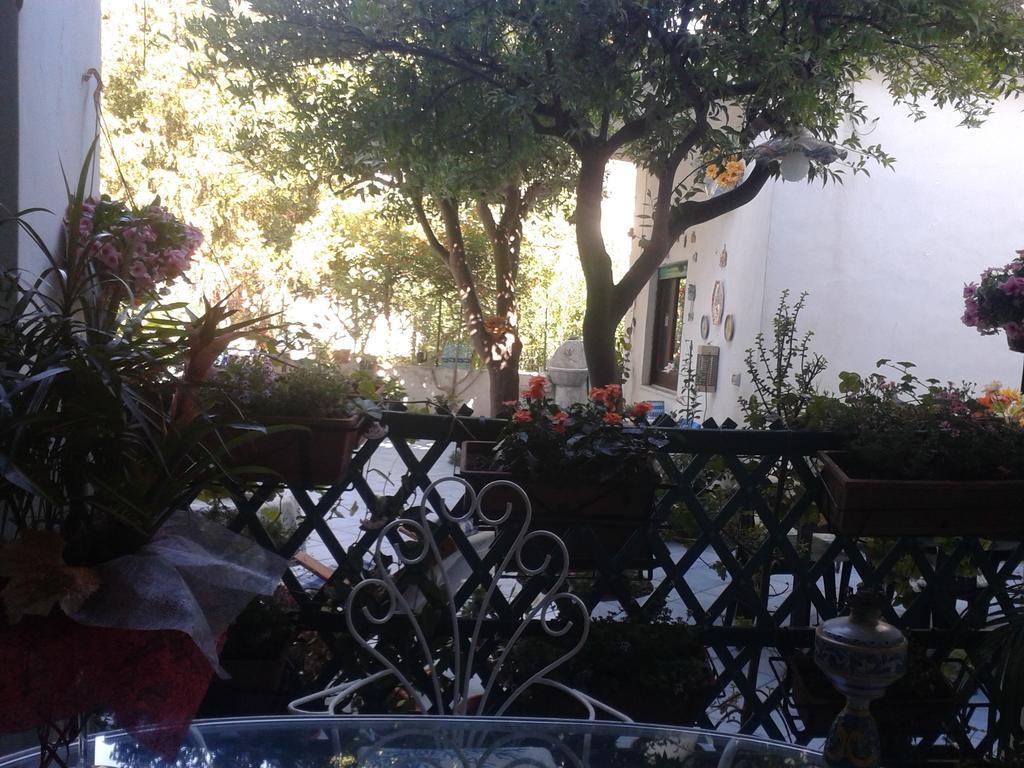 B&B Albatros Lipari  Pokoj fotografie