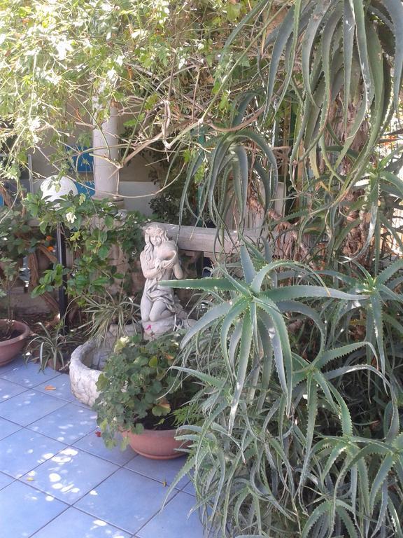 B&B Albatros Lipari  Exteriér fotografie