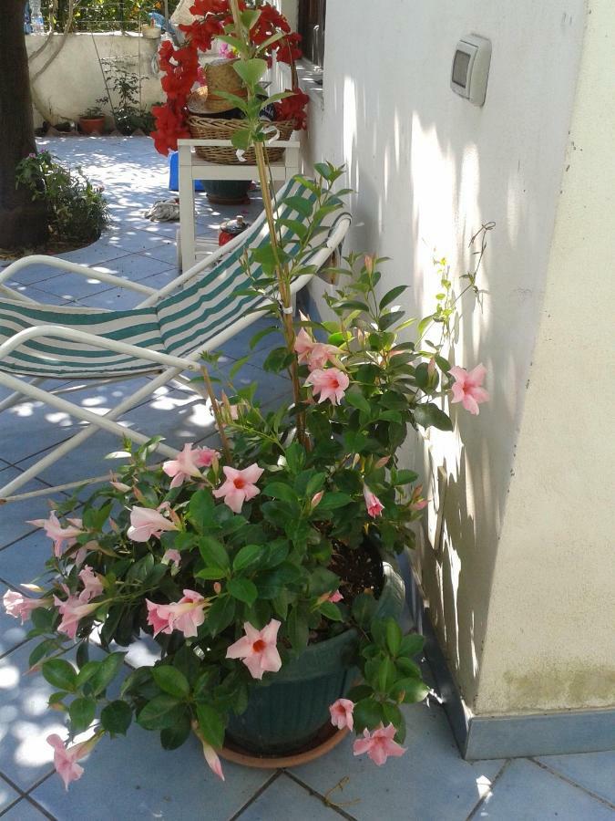 B&B Albatros Lipari  Exteriér fotografie